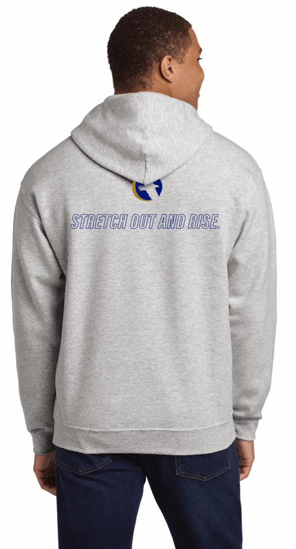 SOAR Hoodie - Gray - Image 2